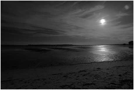 Sandbanks by Chris Severis
