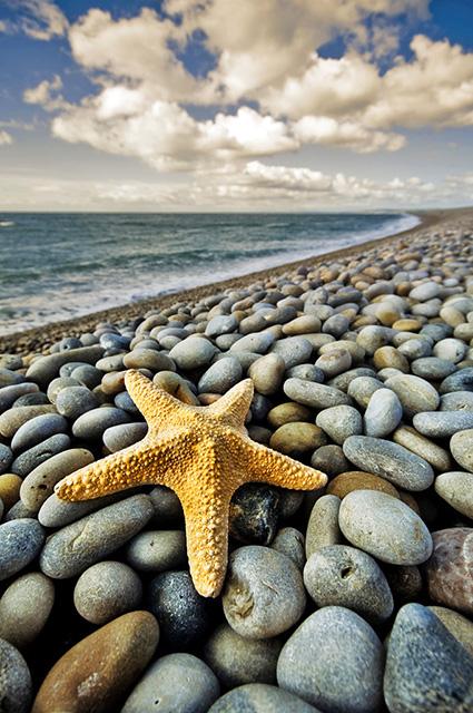 On Chesil Beach by Peter Allen
