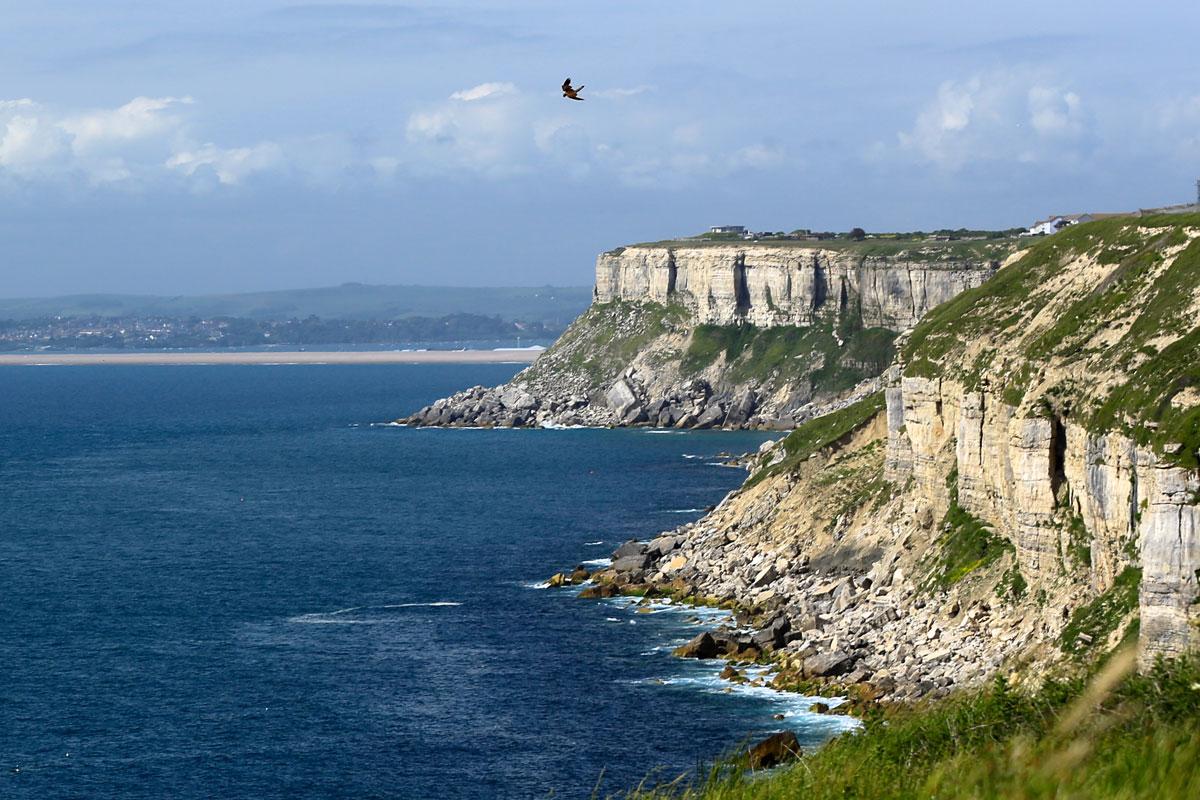 Portland Cliffs looking towards Chiswell. Photo by Chris Taylor
