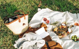 A picnic blanket and items laid out on the grass. Credit: Canva