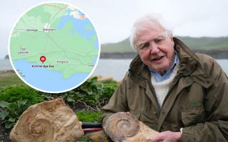 Sea monster found in Dorset subject of new Attenborough documentary