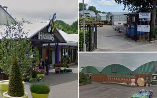 Chestnut Nursery, Haskins and Canford Magna are among the highest-rated garden centres in and around the BCP area