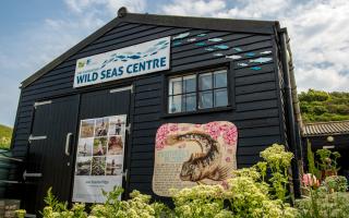 Wild Seas Centre