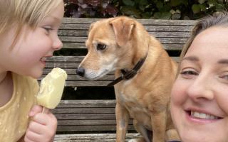 Ruby, the small Patterdale Terrier and Jack Russell, was rushed to an emergency vet practice for surgery