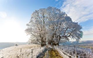 Temperatures are expected to rapidly fall this week, and could drop below 0C in parts of the country as early as this evening