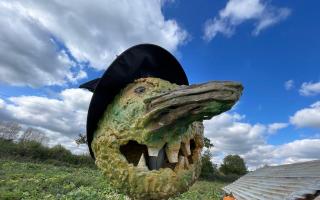 Pumpkin picking at Bickton Manor Farm, Fordingbridge