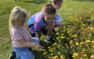 St Marys School Nature Day