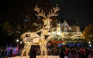 Bournemouth Christmas Tree Wonderland