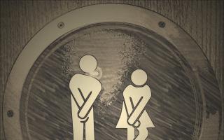 A letter writer says public toilets are a basic human right. Image: Pixabay