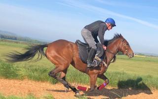 School caretaker, 63,  preps for charity horse race despite recent riding injury