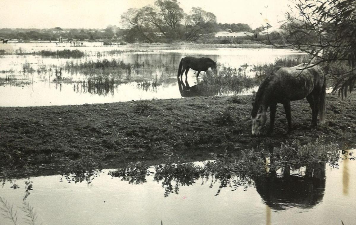 Flooding at Christchurch in the aftermath of the 1966 storm.
