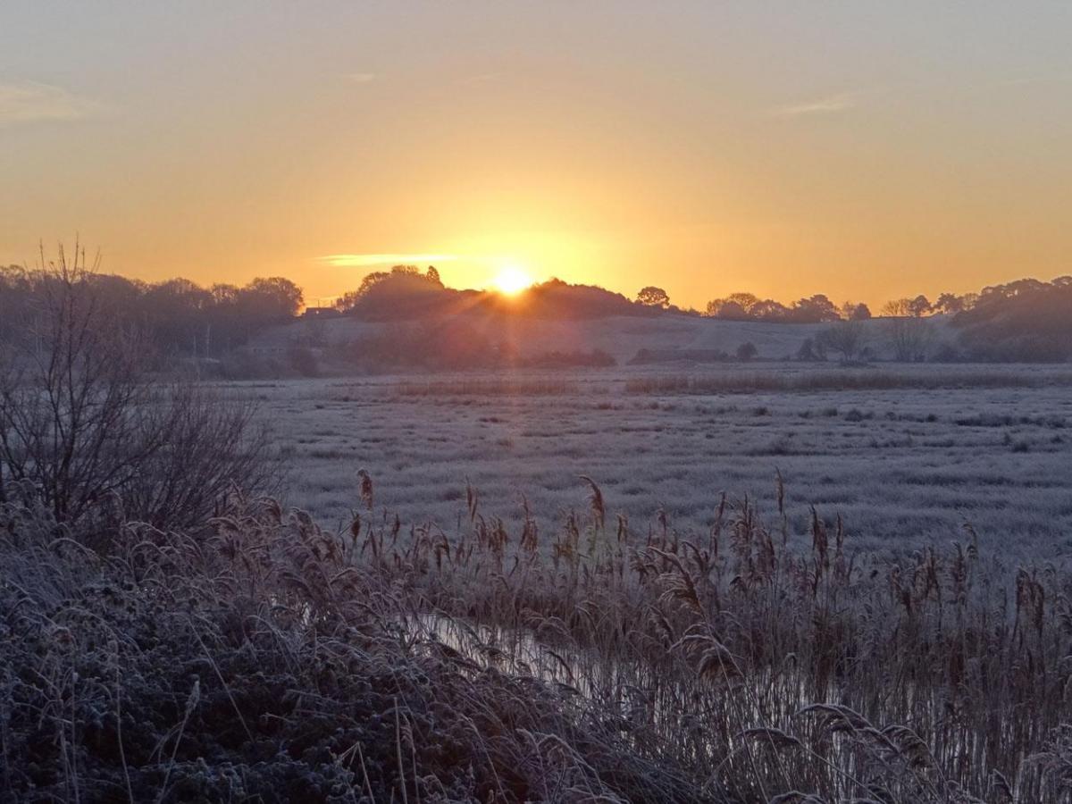 A frostymorning taken at Wareham byMark Burbidge.