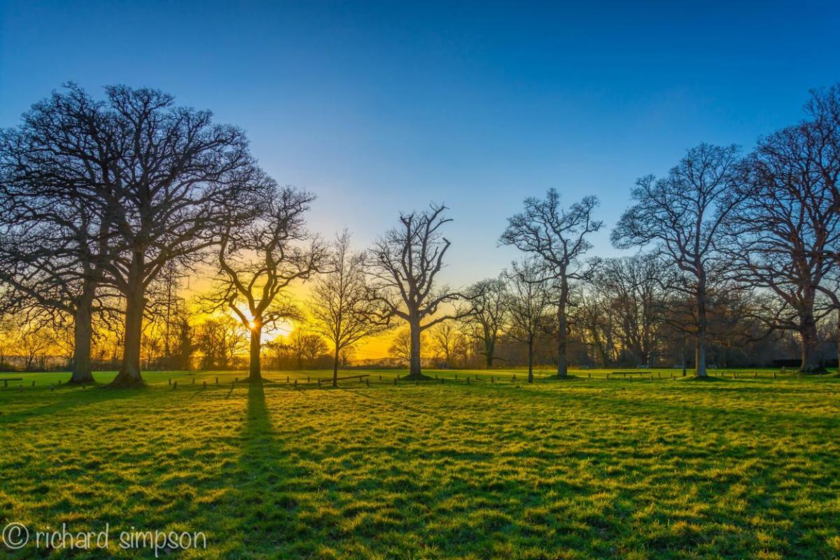 Sunset at Pamphill,Wimborn taken  by Richard Simpson, Corfe Mullen.