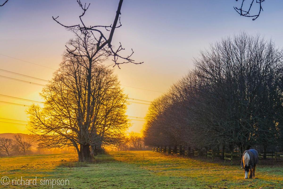 Sunset at Pamphill,Wimborn taken  by Richard Simpson, Corfe Mullen.