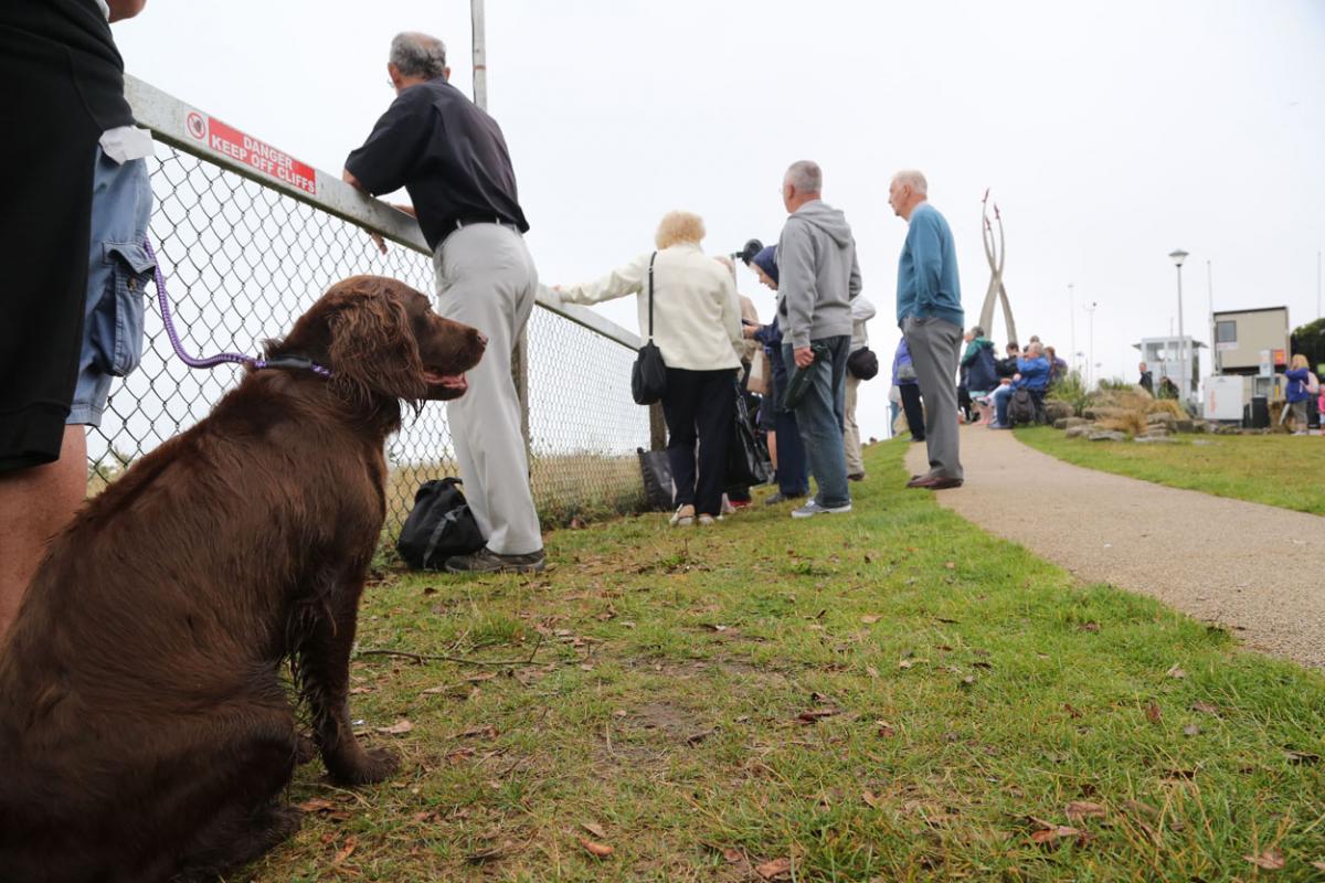 Rain and very low cloud stopped play on day one. Here are all our pictures