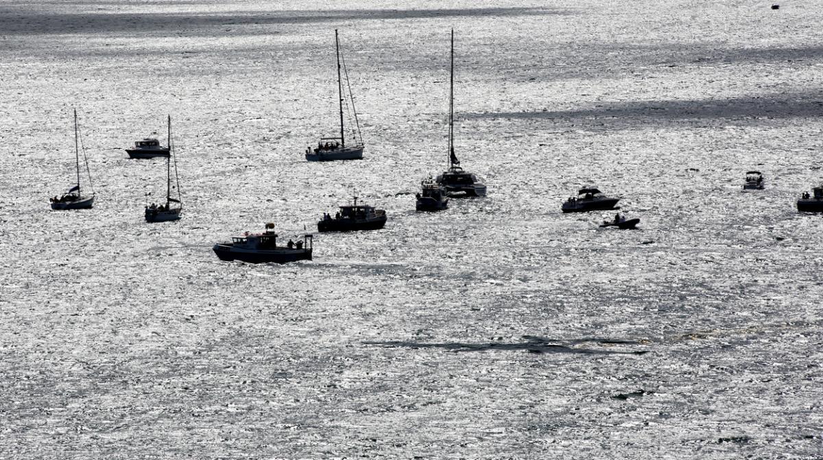 Sunday at the Bournemouth Air Festival 2015. Pictures by Richard Crease. 