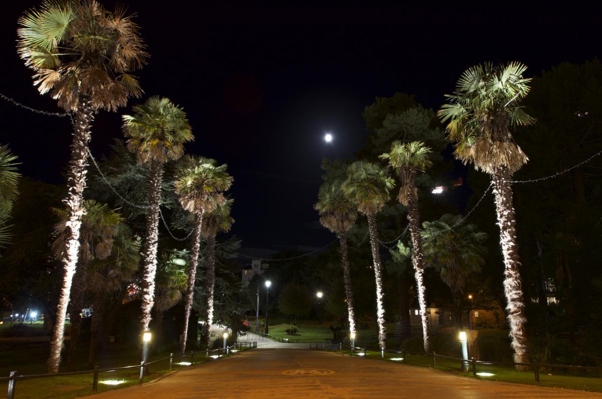 Bournemouth gardens at nighttime taken by Mikey Kingsley